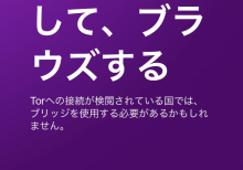 炉炉炉な『情報商品』ダークウェブでアウ炉を見る方法。