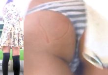 パンチラ盗撮 女子大生 絶対領域の中身はTバックの縞パン