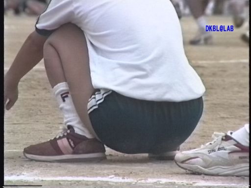ふぃーるどあすれちっくjt413