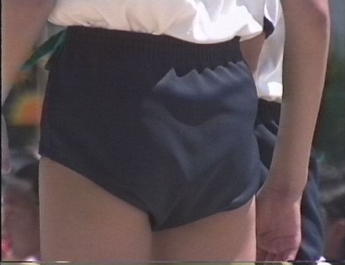 ふぃーるどあすれちっくjt332