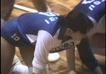 ぽんぽこほんぽバレーボールuv193