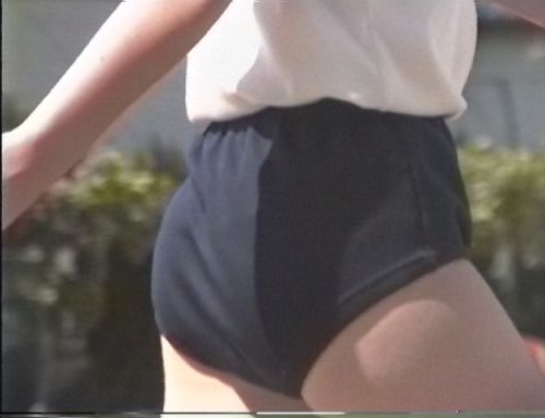 ふぃーるどあすれちっくjt331