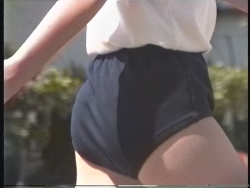 ふぃーるどあすれちっくjt331