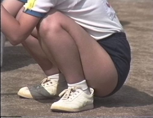 ふぃーるどあすれちっくjt311