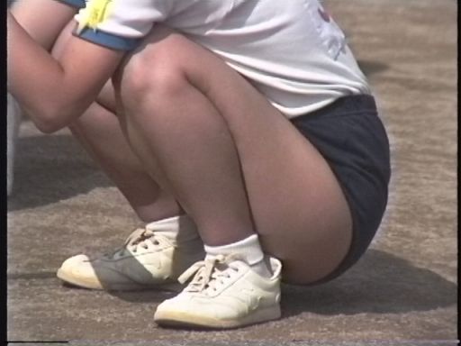 ふぃーるどあすれちっくjt311