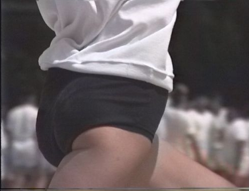 ふぃーるどあすれちっくjt372