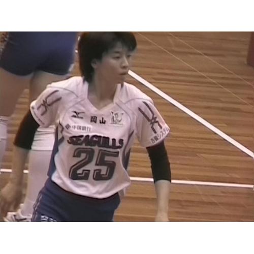 ぽんぽこほんぽバレーボールuv237