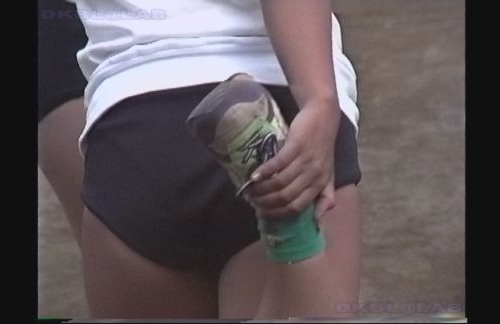 ふぃーるどあすれちっくst483