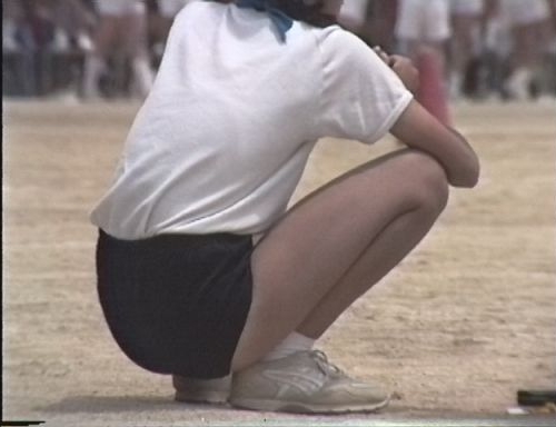 ふぃーるどあすれちっくjt342