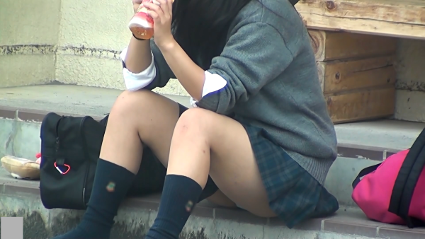 Kのお座りを眺めよう005