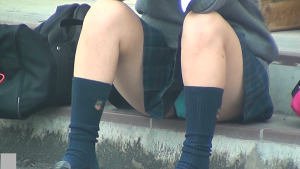 Kのお座りを眺めよう005