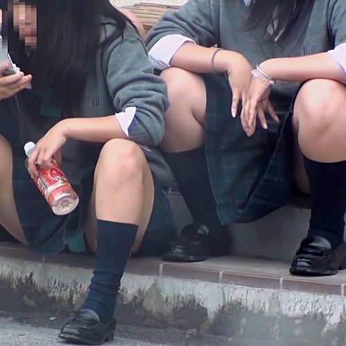 Kのお座りを眺めよう006