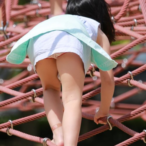 「エース」街鳥セット⑦