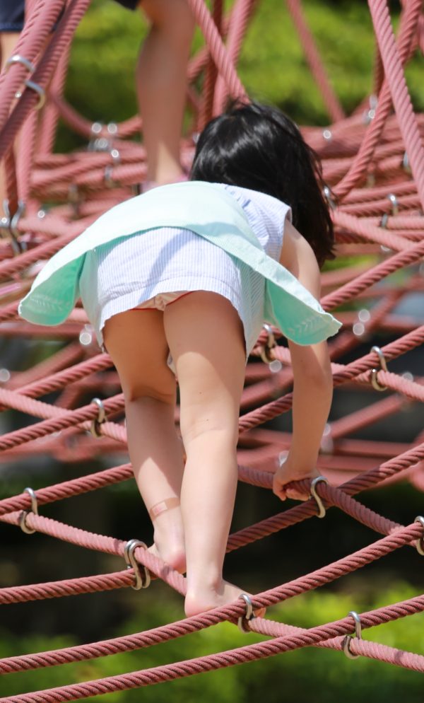 「エース」街鳥セット⑦