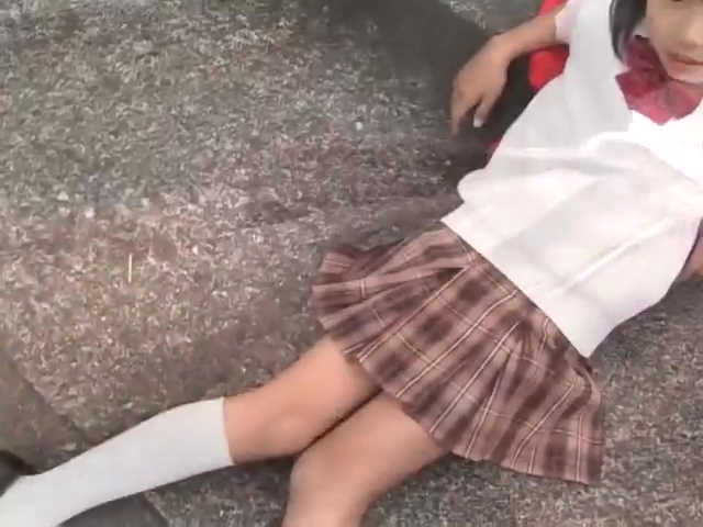 サンプル画像
