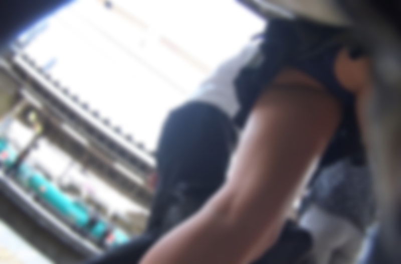 サンプル画像