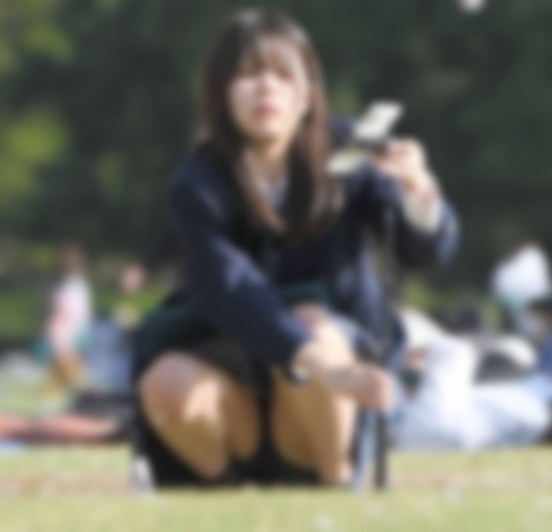 サンプル画像
