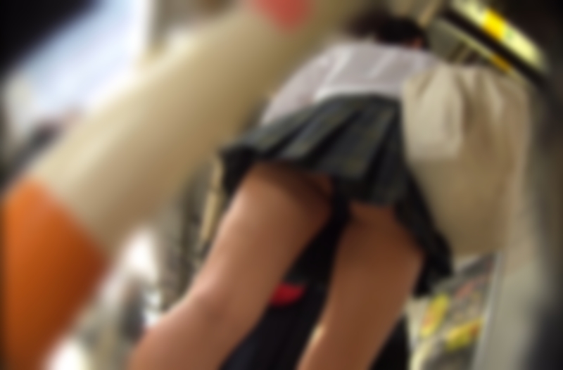 サンプル画像