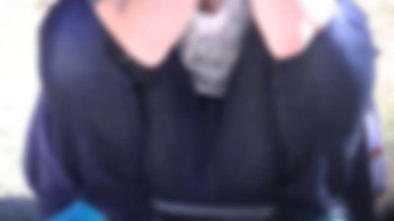 サンプル画像