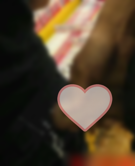 サンプル画像