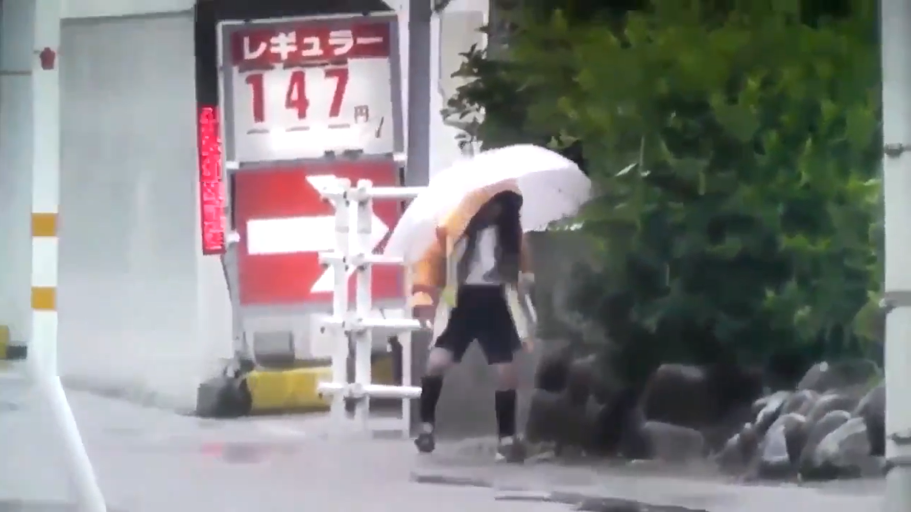 サンプル画像