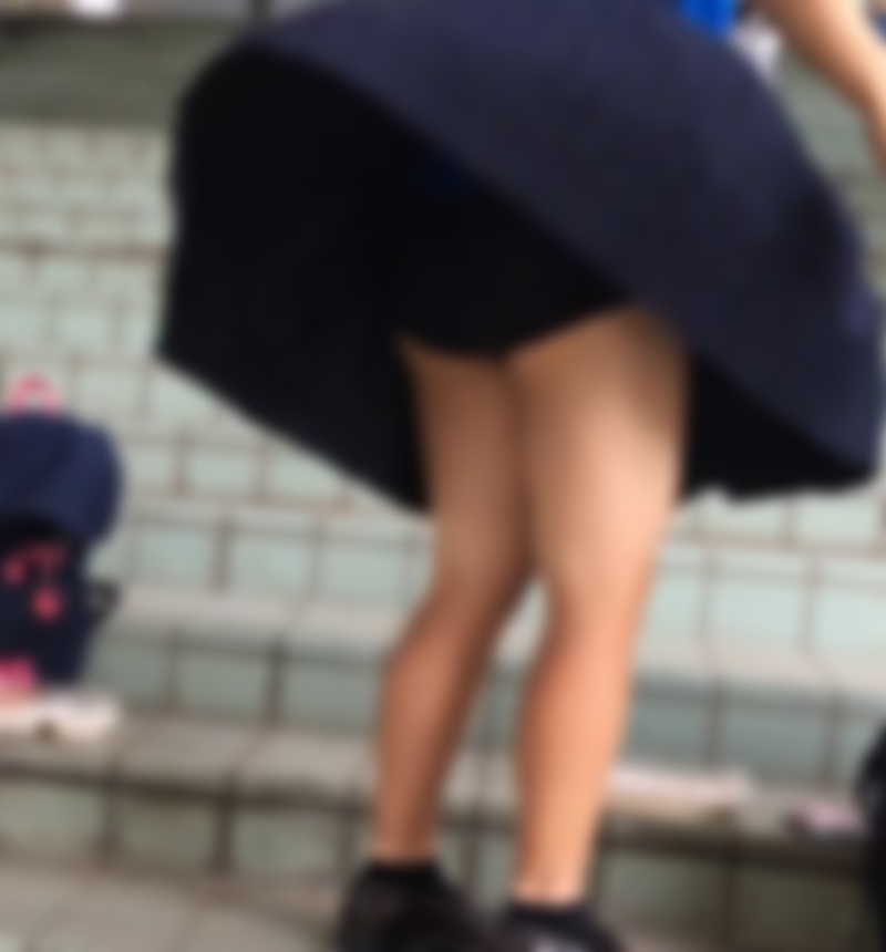サンプル画像
