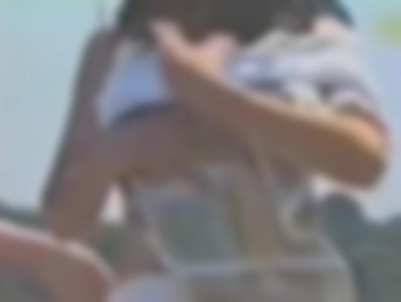 サンプル画像