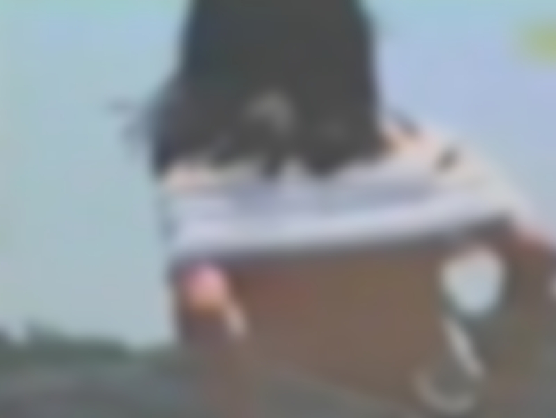 サンプル画像