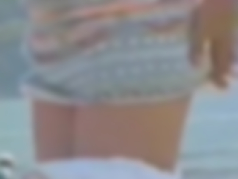 サンプル画像