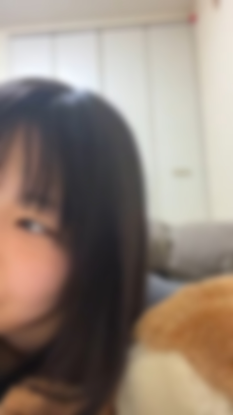 サンプル画像