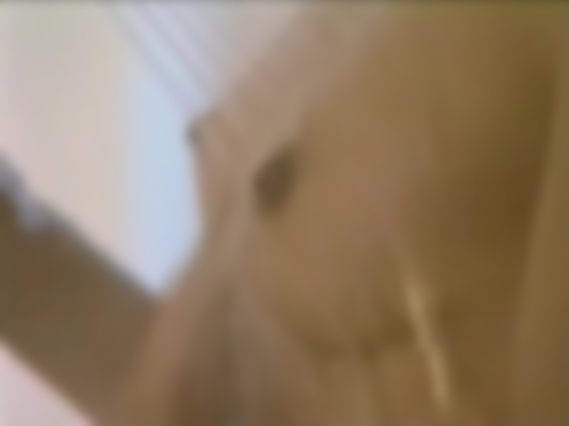 サンプル画像