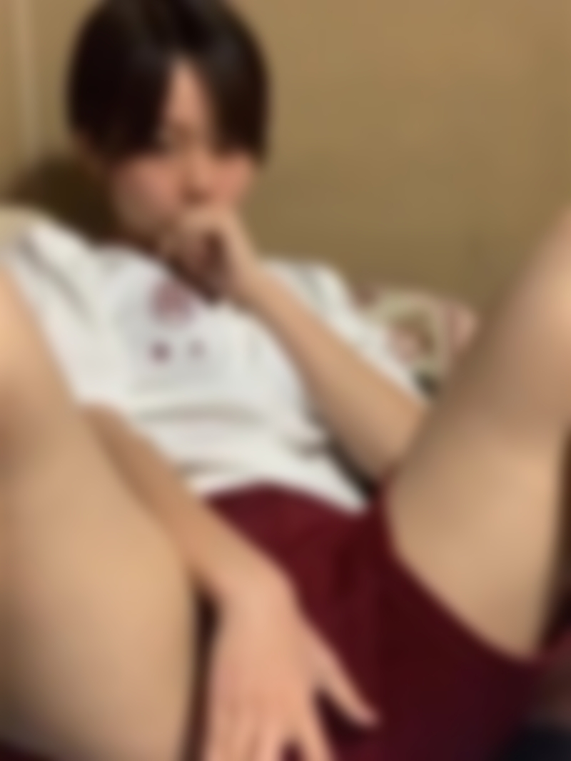 サンプル画像