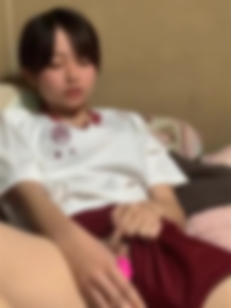 サンプル画像