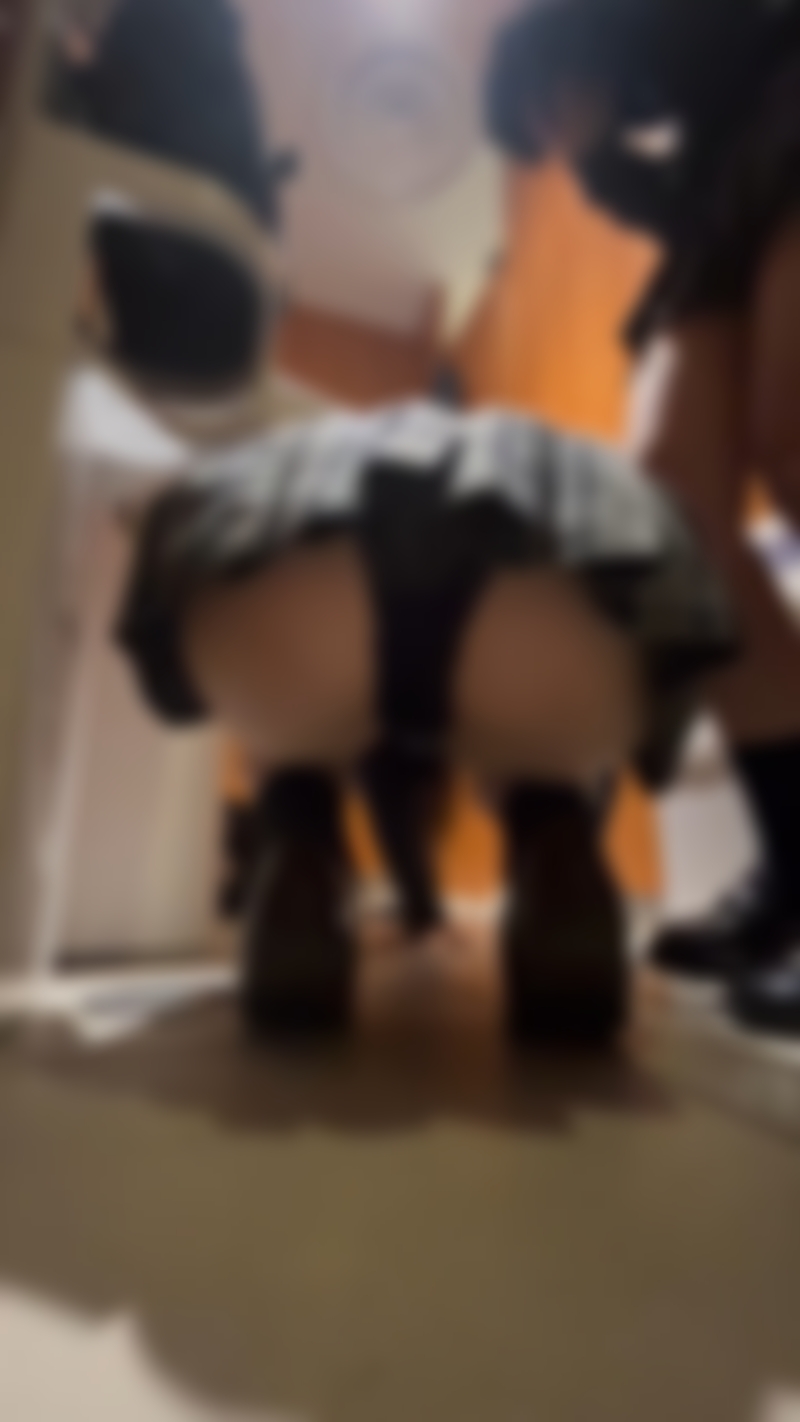 サンプル画像