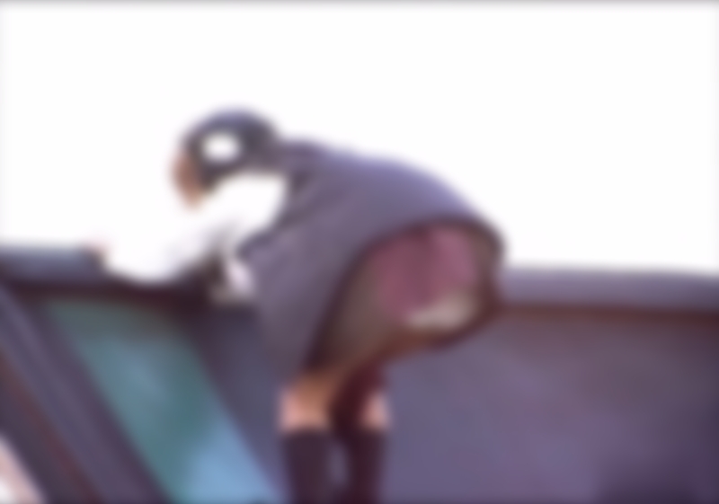 サンプル画像