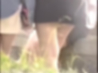 サンプル画像