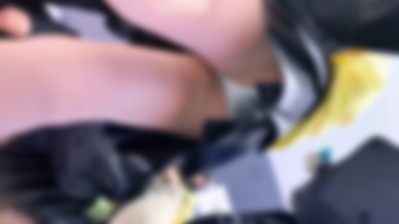 サンプル画像