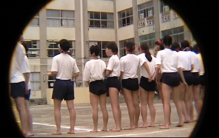 サンプル画像