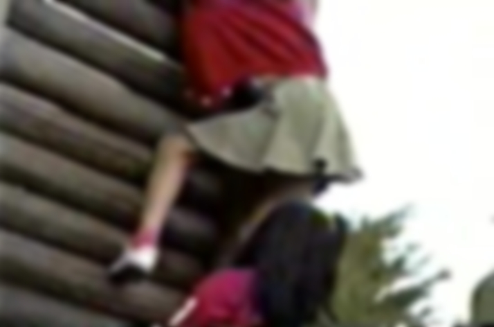 サンプル画像