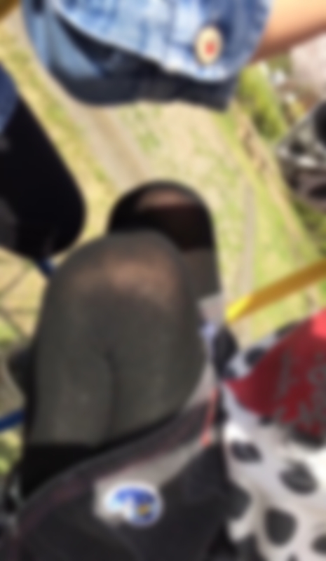 サンプル画像